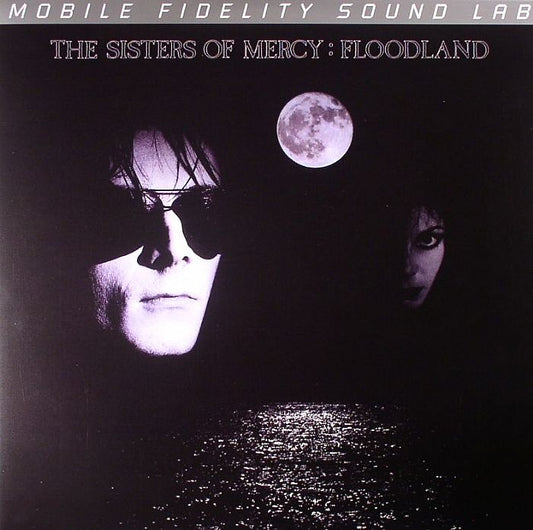 Floodland - Audiophile Vinyl LP vinyl record cover