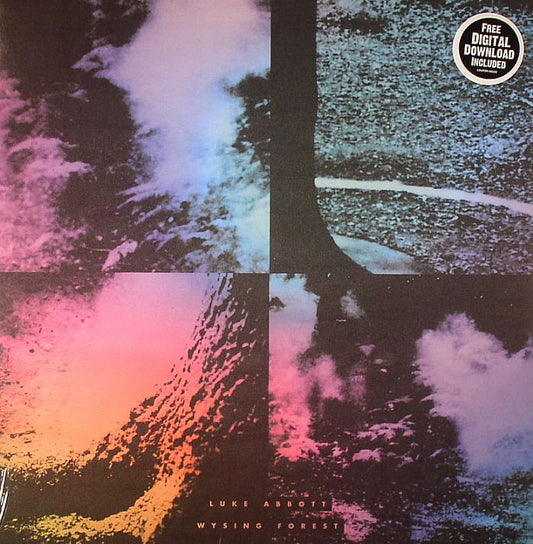 Wysing Forest - Vinyl LP vinyl record cover