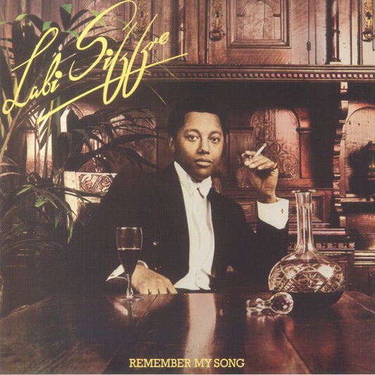 Remember My Song - Vinyl LP vinyl record cover