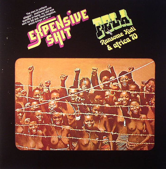 Expensive Shit - Vinyl LP vinyl record cover