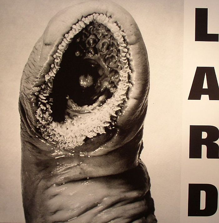 Power Of Lard EP - Vinyl EP vinyl record cover
