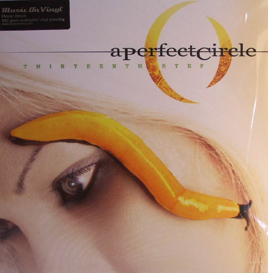 Thirteenth Step - 2xLP vinyl record cover