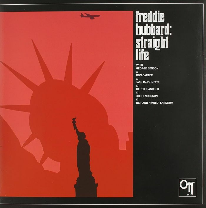 Straight Life - Vinyl LP vinyl record cover