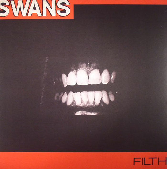 Filth (Remastered) - Vinyl LP vinyl record cover