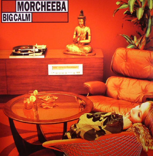 Big Calm - Vinyl LP vinyl record cover