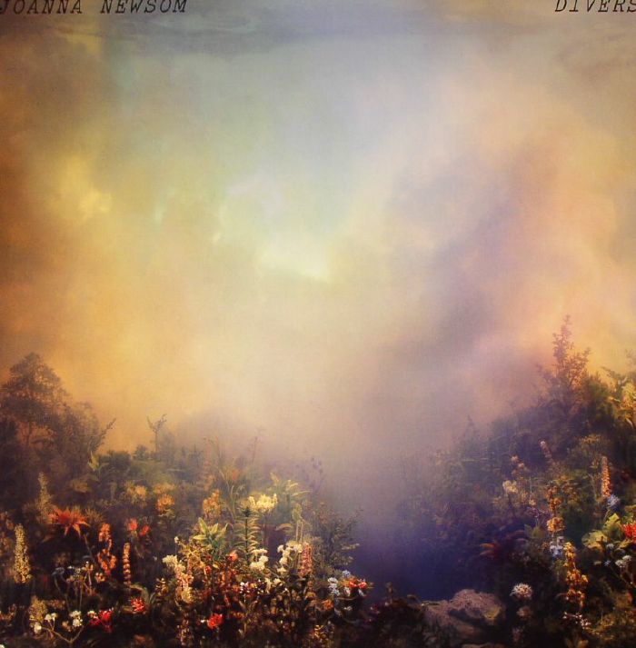 Divers - 2xLP vinyl record cover