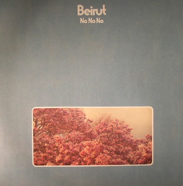 No No No - Vinyl LP vinyl record cover