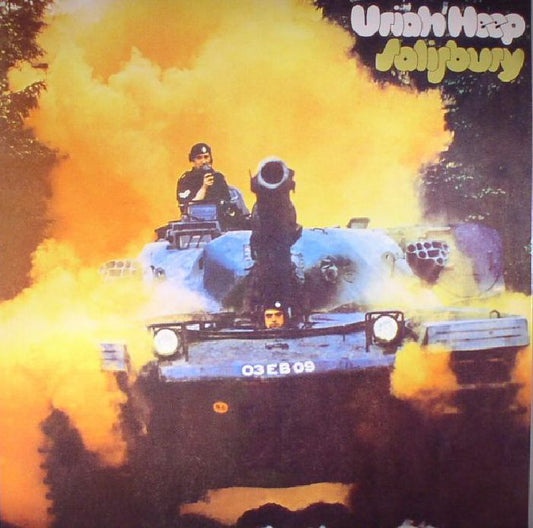 Salisbury - Vinyl LP vinyl record cover