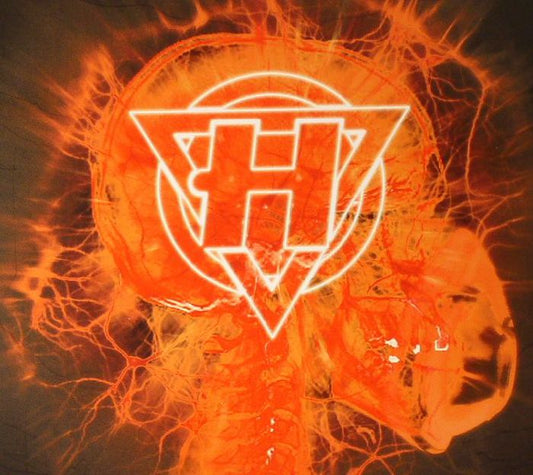 The Mindsweep: Hospitalised - CD CD cover