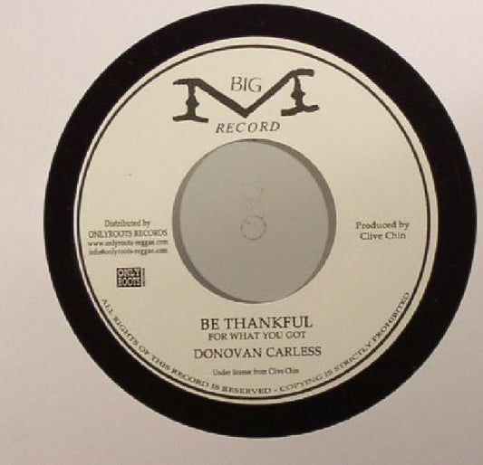 Be Thankful For What You Got - Vinyl Single vinyl record cover