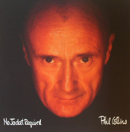 No Jacket Required - Vinyl LP vinyl record cover