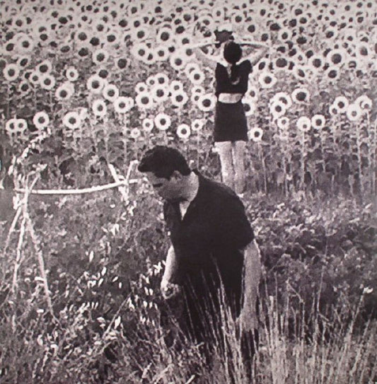 Jesu / Sun Kil Moon - 2xLP vinyl record cover