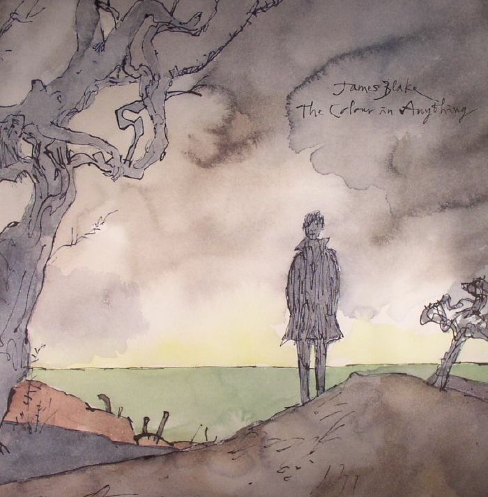 The Colour In Anything - 2xLP vinyl record cover