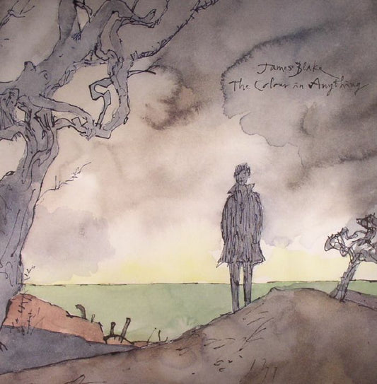 The Colour In Anything - 2xLP vinyl record cover