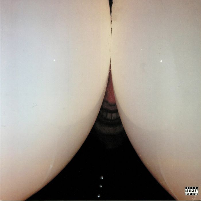Bottomless Pit - Vinyl LP vinyl record cover