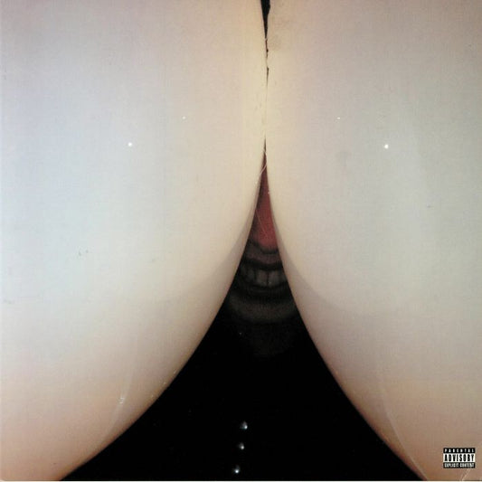 Bottomless Pit - Vinyl LP vinyl record cover