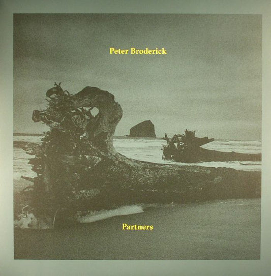 Partners - Vinyl LP vinyl record cover