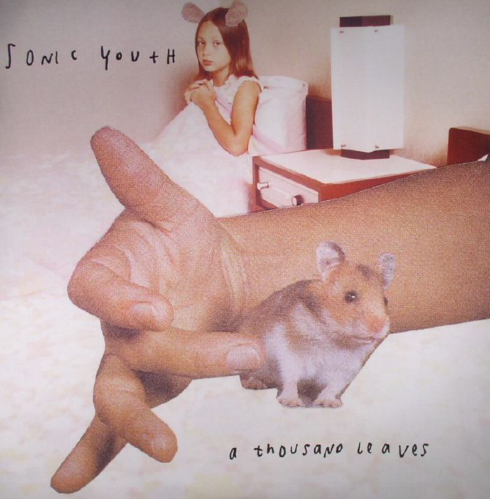 A Thousand Leaves - 2xLP vinyl record cover