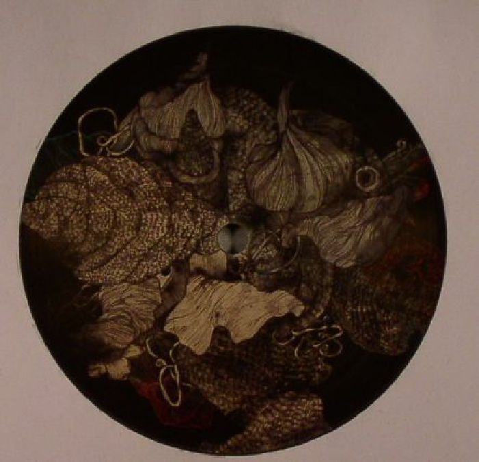 Moon Rocks - Vinyl EP vinyl record cover