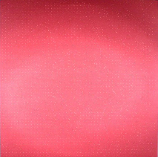 Anterior Space - Vinyl LP vinyl record cover