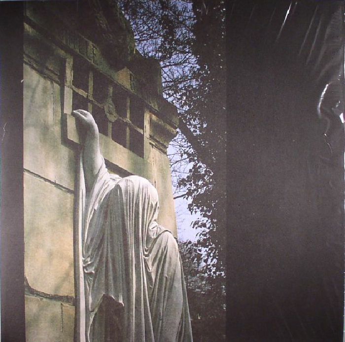 Within The Realm Of A Dying Sun - Remastered Vinyl LP vinyl record cover