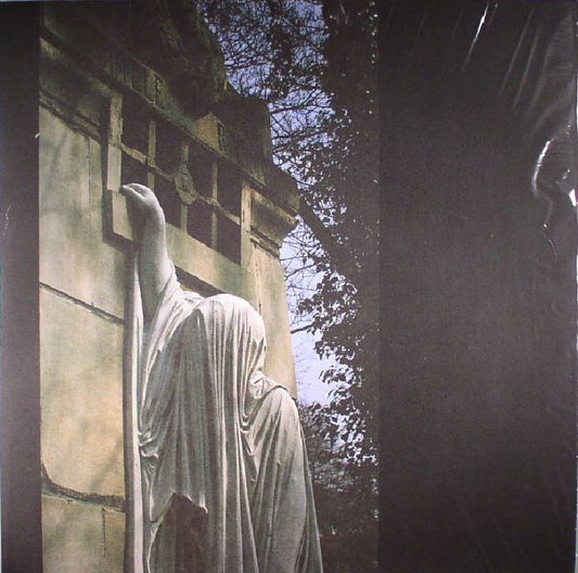 Within The Realm Of A Dying Sun - Remastered Vinyl LP vinyl record cover