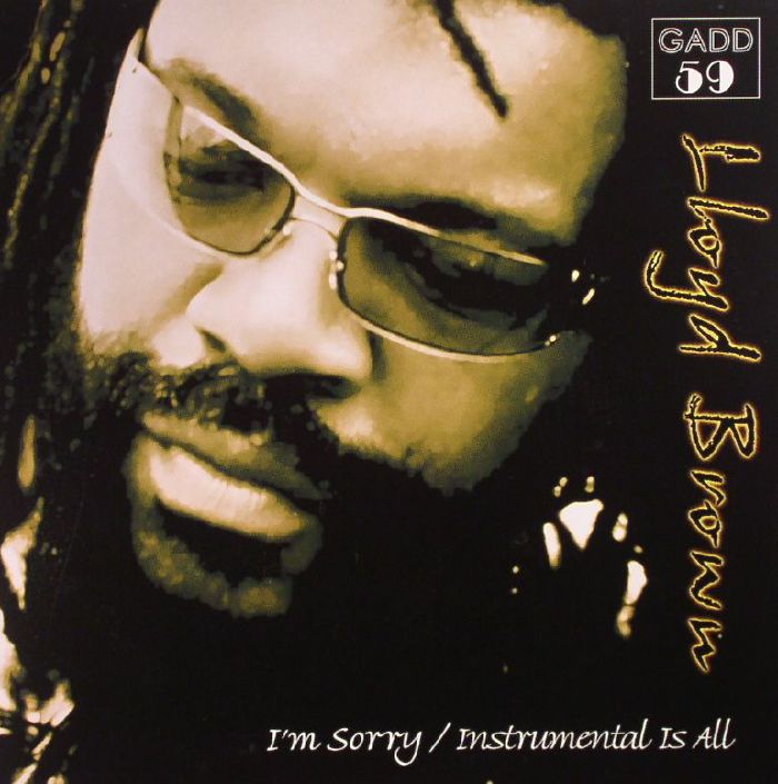 I'm Sorry - Vinyl Single vinyl record cover