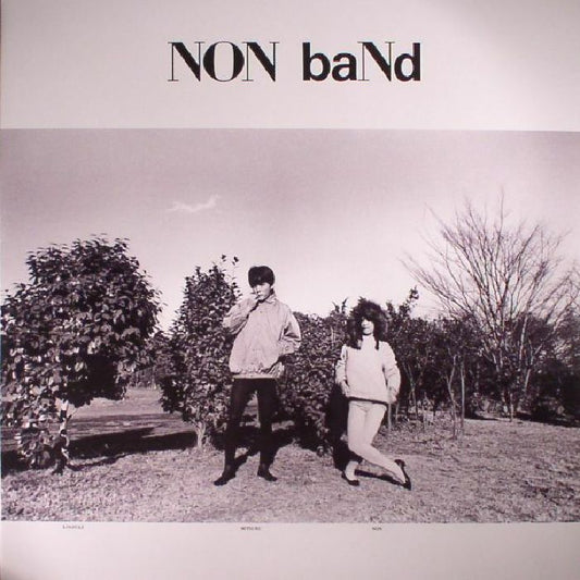 Non Band - Vinyl LP vinyl record cover
