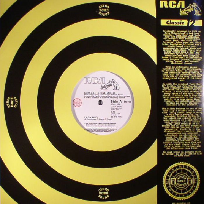 Lady Bug - Vinyl Single vinyl record cover