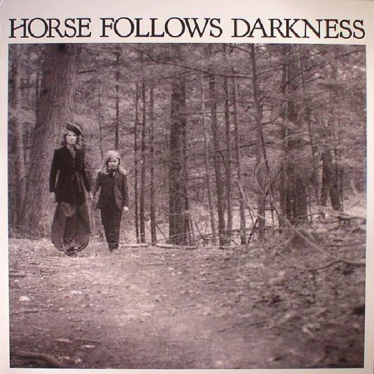 Horse Follows Darkness - Vinyl LP vinyl record cover