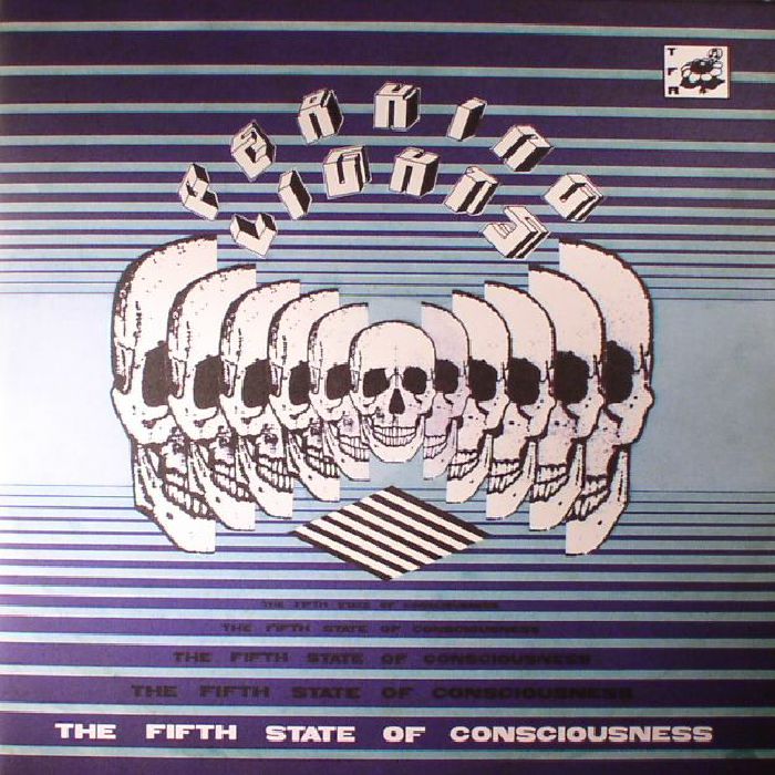 The Fifth State Of Consciousness - 2xLP vinyl record cover