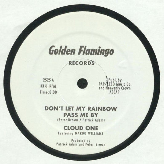 Don't Let My Rainbow Pass Me By - Vinyl Single vinyl record cover