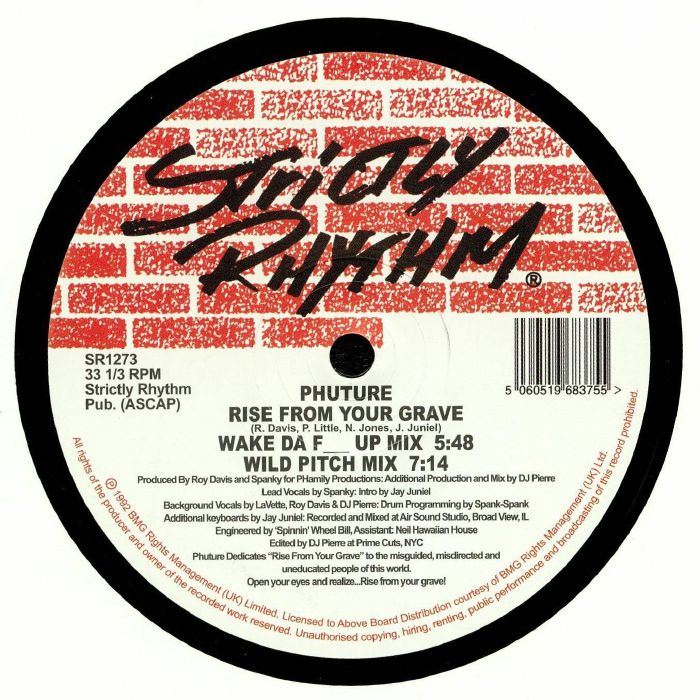 Rise From Your Grave - Vinyl Single vinyl record cover
