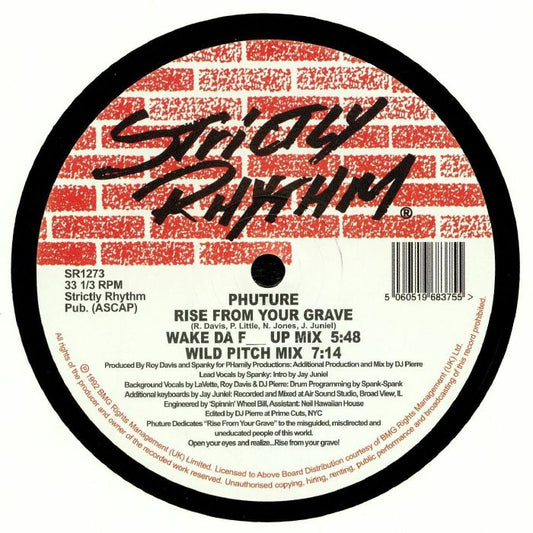 Rise From Your Grave - Vinyl Single vinyl record cover
