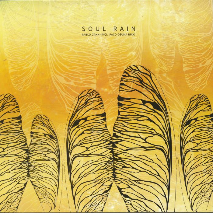 Soul Rain - Vinyl EP vinyl record cover