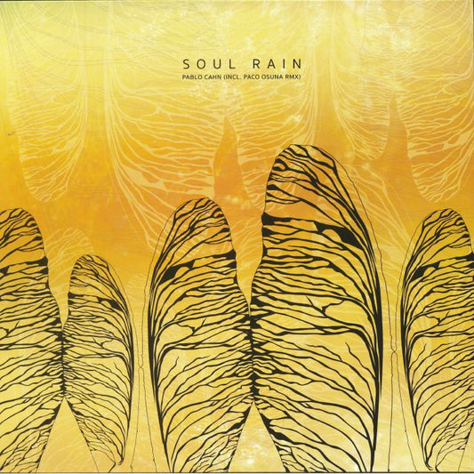 Soul Rain - Vinyl EP vinyl record cover