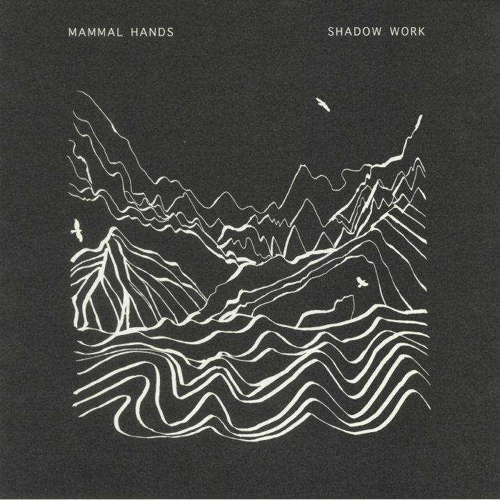 Shadow Work - 2xLP vinyl record cover