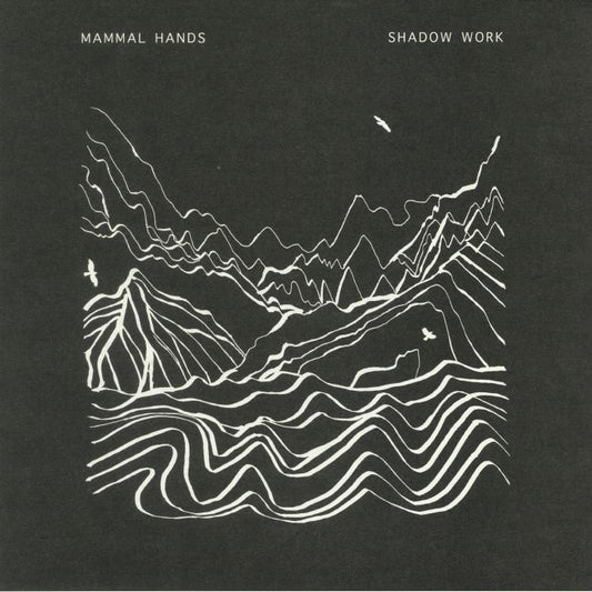 Shadow Work - 2xLP vinyl record cover