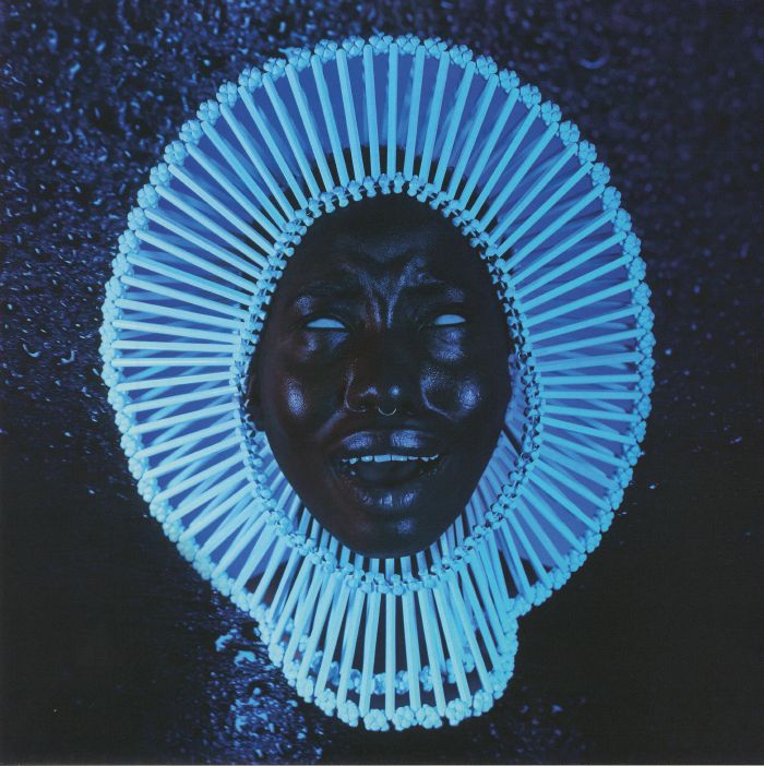 Awaken My Love! - Vinyl LP vinyl record cover