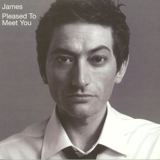 Pleased To Meet You - 2xLP vinyl record cover