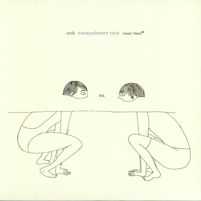 Metasediment Rock - Vinyl LP vinyl record cover