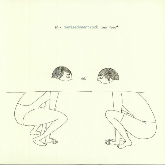 Metasediment Rock - Vinyl LP vinyl record cover