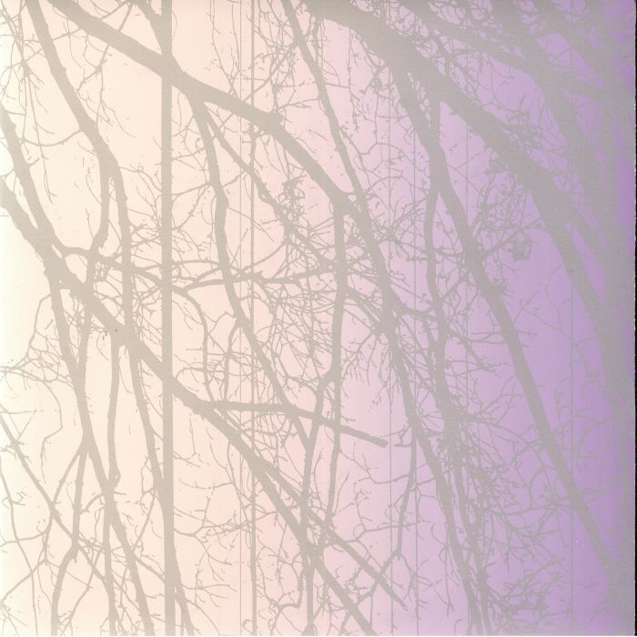 Metal Aether - Limited Edition Coloured Vinyl LP vinyl record cover