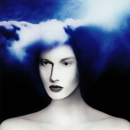 Boarding House Reach - Vinyl LP vinyl record cover