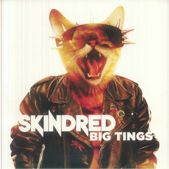 Big Tings - Limited Edition Vinyl LP vinyl record cover
