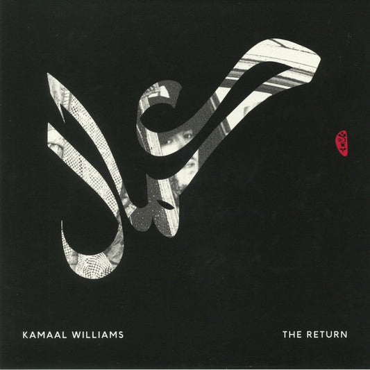 The Return - Vinyl LP vinyl record cover
