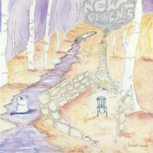 Transient Response - Vinyl LP vinyl record cover
