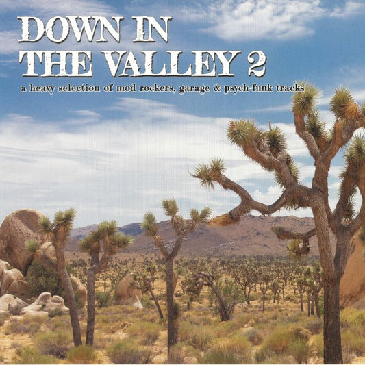 Down In The Valley 2 - Mod Rockers, Garage & Psych-Funk Vinyl LP vinyl record cover