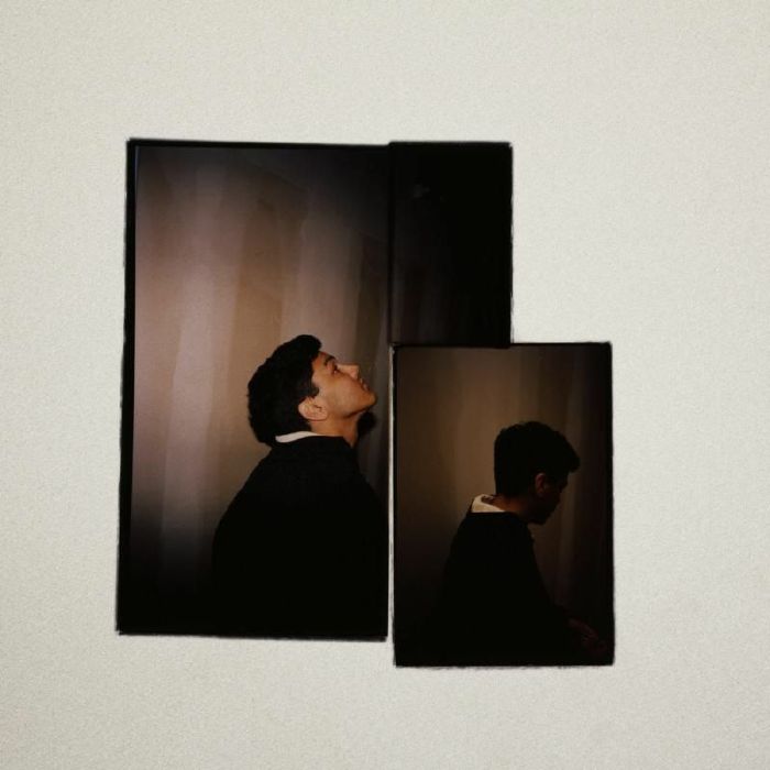 (04:30) Idler - Vinyl LP vinyl record cover