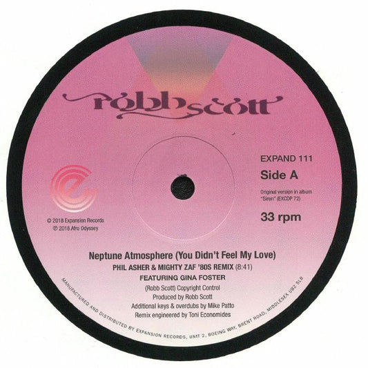 Neptune Atmosphere (You Didn't Feel My Love) - Vinyl Single vinyl record cover